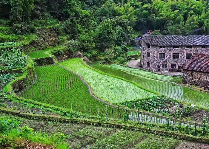 Lishui Manshanju Forest Retreat